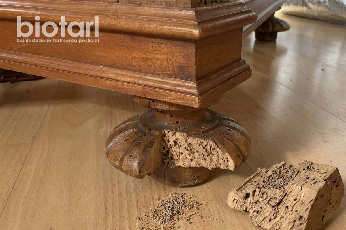 Mobili antichi – disinfestazione tarli del legno in Lombardia